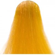 Korektor za Boju GENIUS